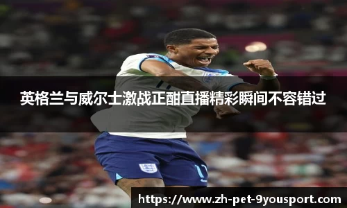 英格兰与威尔士激战正酣直播精彩瞬间不容错过