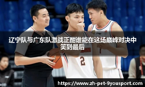 辽宁队与广东队激战正酣谁能在这场巅峰对决中笑到最后