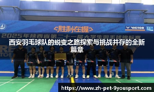 西安羽毛球队的蜕变之路探索与挑战并存的全新篇章