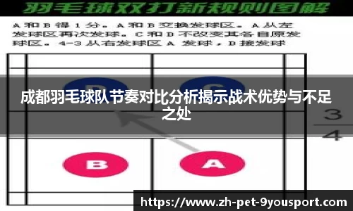 成都羽毛球队节奏对比分析揭示战术优势与不足之处