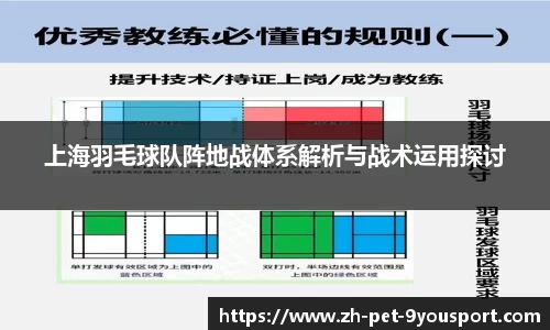 上海羽毛球队阵地战体系解析与战术运用探讨