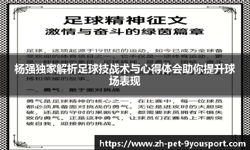 杨强独家解析足球技战术与心得体会助你提升球场表现
